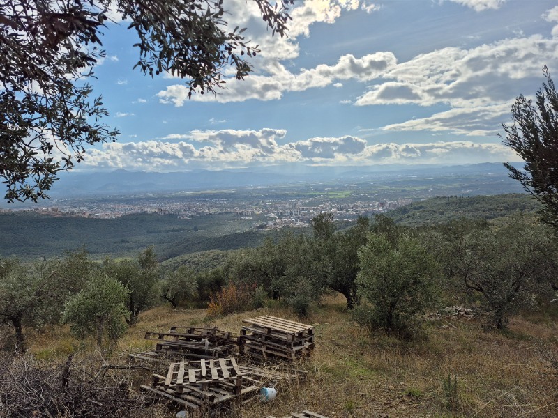 Edremit Ortaoba Mah`daZeytinlik. - 10
